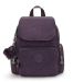 Ultimate Plum